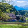 ５５歳で移住を決断！新天地で出逢った恋人とは。