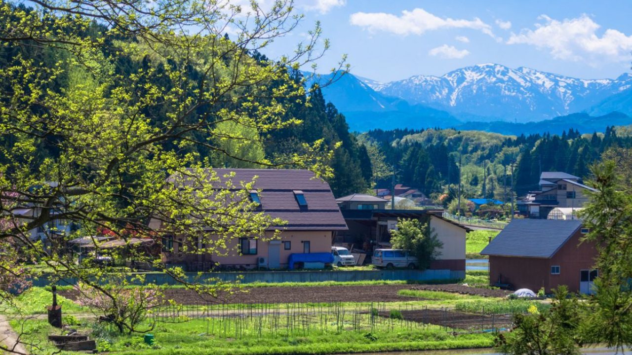 ５５歳で移住を決断！新天地で出逢った恋人とは。