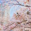 50代のための季節のデート情報 春 「パステルカラーを身に着けてラブラブデートしよう」