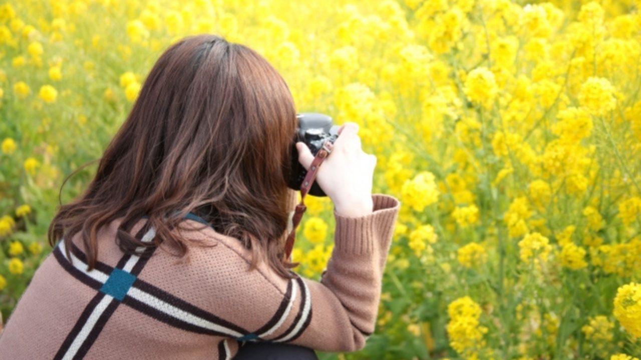 50代のための季節のデート情報 4月 「春デートで菜の花畑へおでかけしよう」